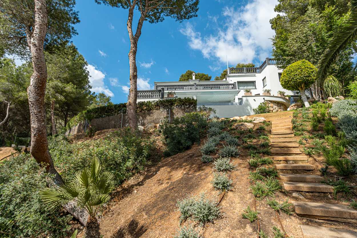 Dom w Badia de Palma, Illes Balears 10825499