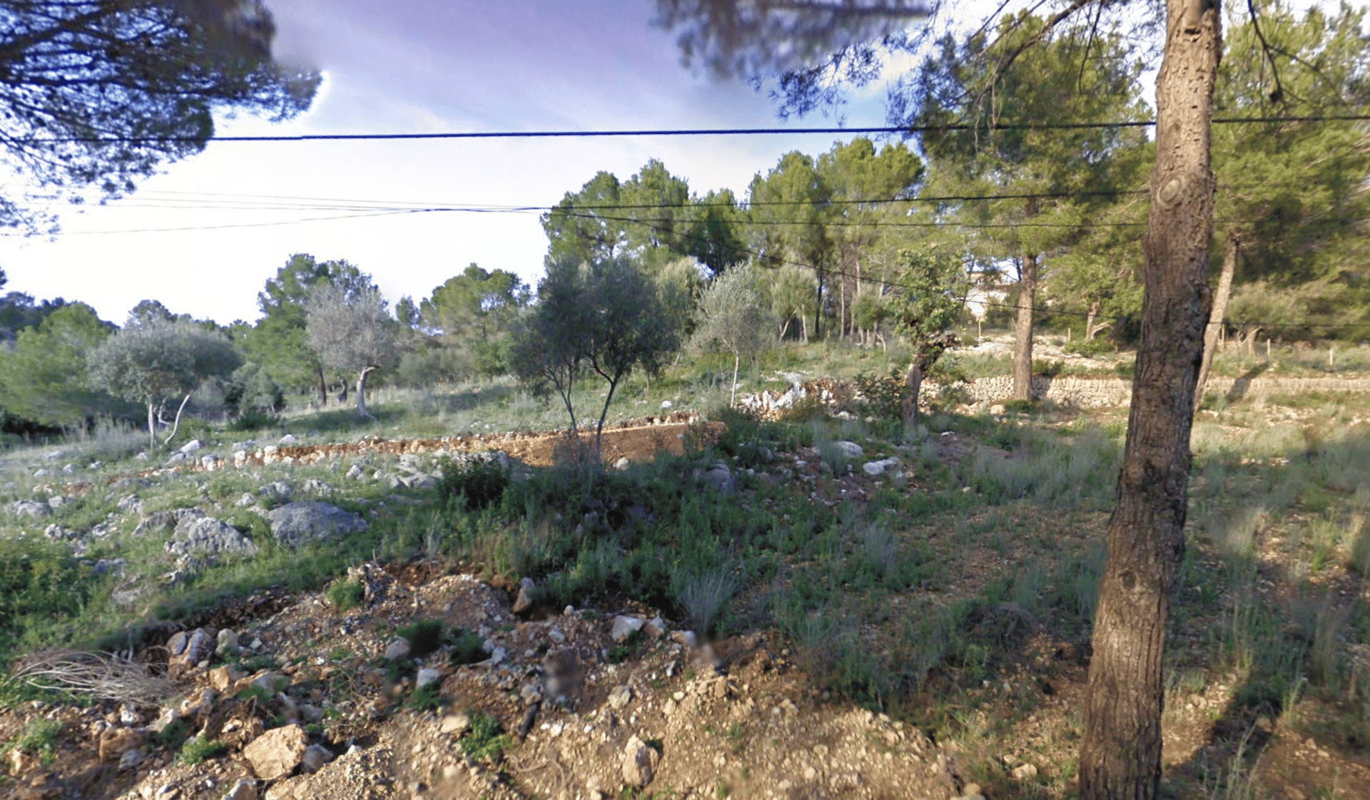 Tanah di Calvia, Pulau Balearic 10825745