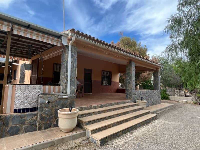 House in Crevillent, Valencian Community 10826683