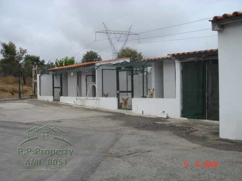 House in Abrantes, Santarém District 10827908