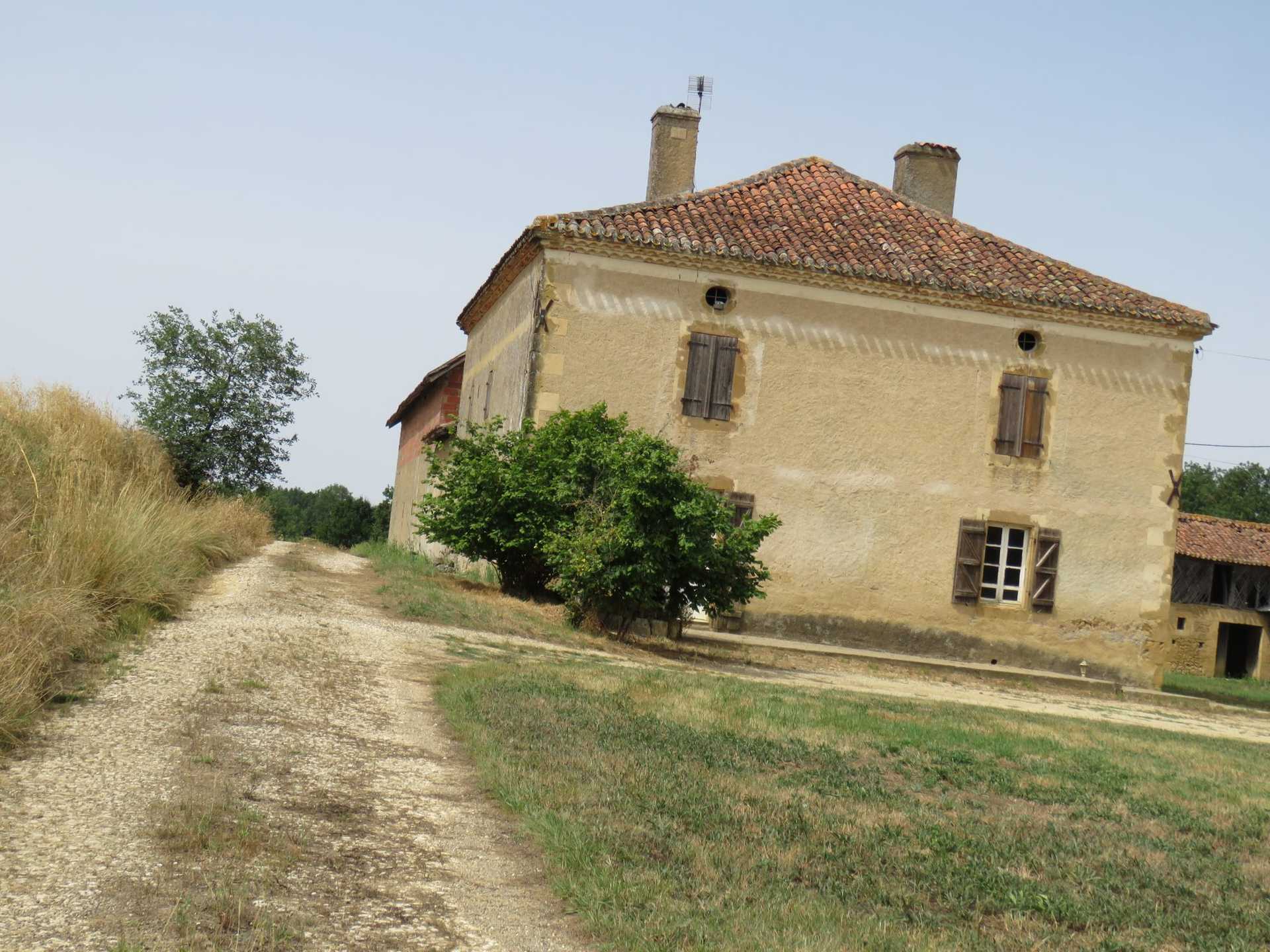 Hus i Mirande, Occitanie 10828542