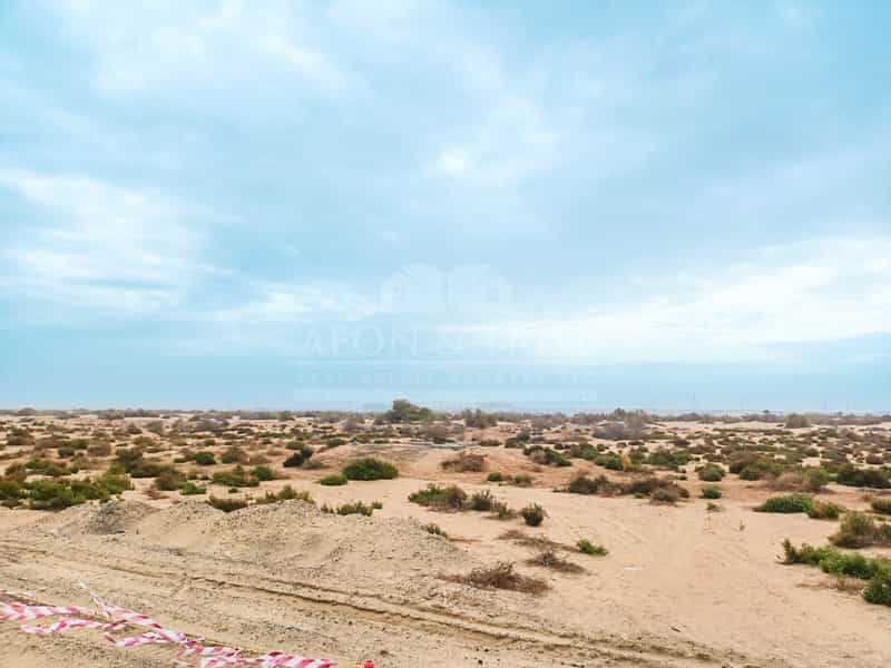 Tanah di Warisan, Dubai 10829765