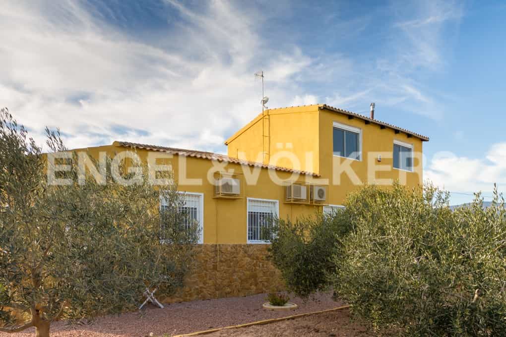 House in Crevillent, Valencian Community 10833225