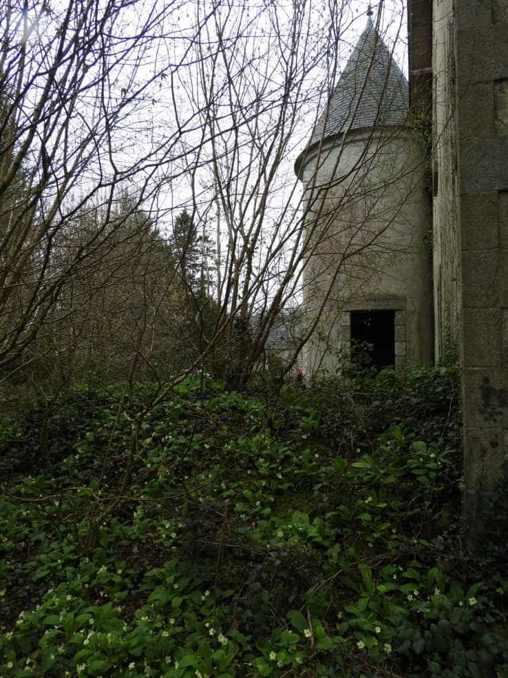 Dom w Loqueffret, Brittany 10836599