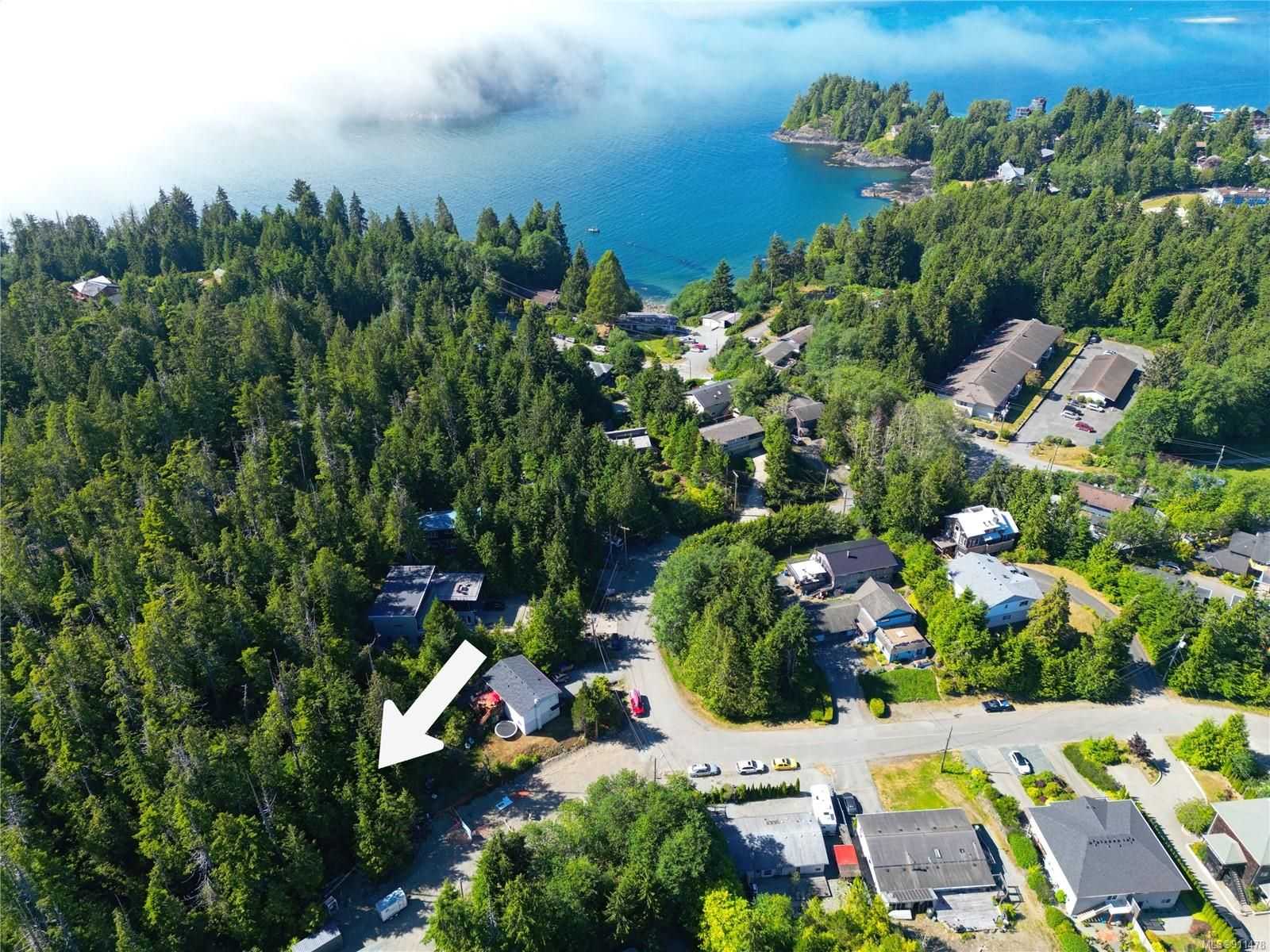 Land in Clayoquot, British Columbia 10843655