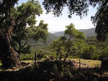 भूमि में कोलमेनार, Andalusia 10844007