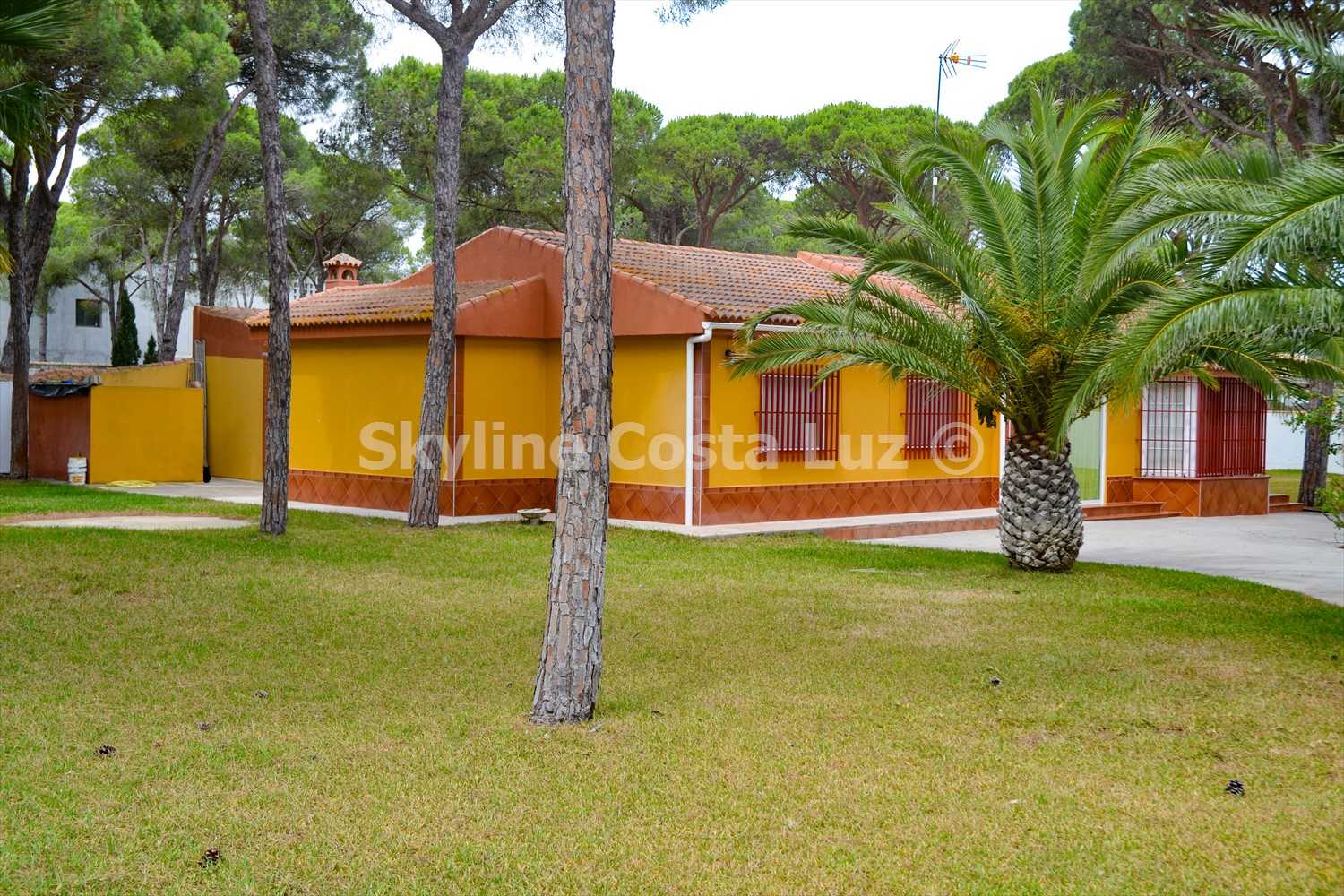 House in Chiclana de la Frontera, Andalusia 10845072