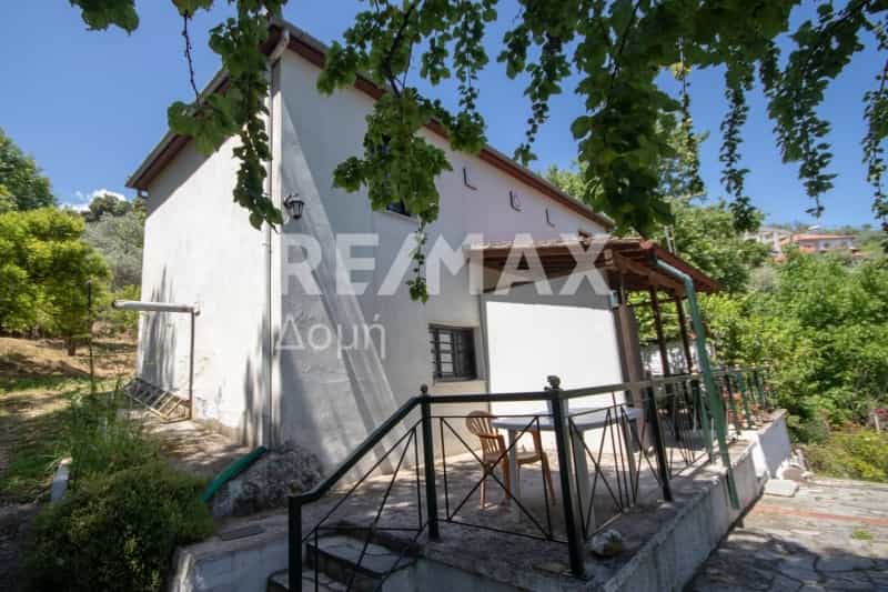 Rumah di Zagora, Tesalia 10845733