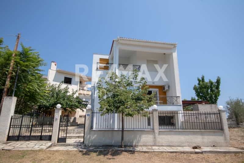 House in Marathos,  10845783