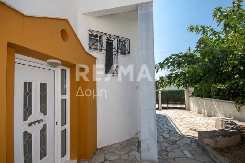 House in Marathos,  10845783