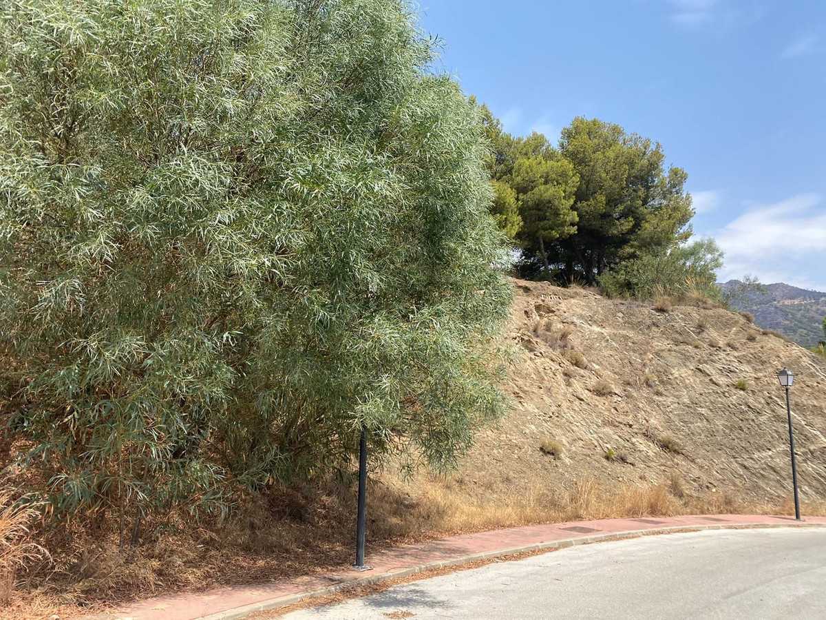 Land in Alhaurin el Grande, Andalusia 10846021