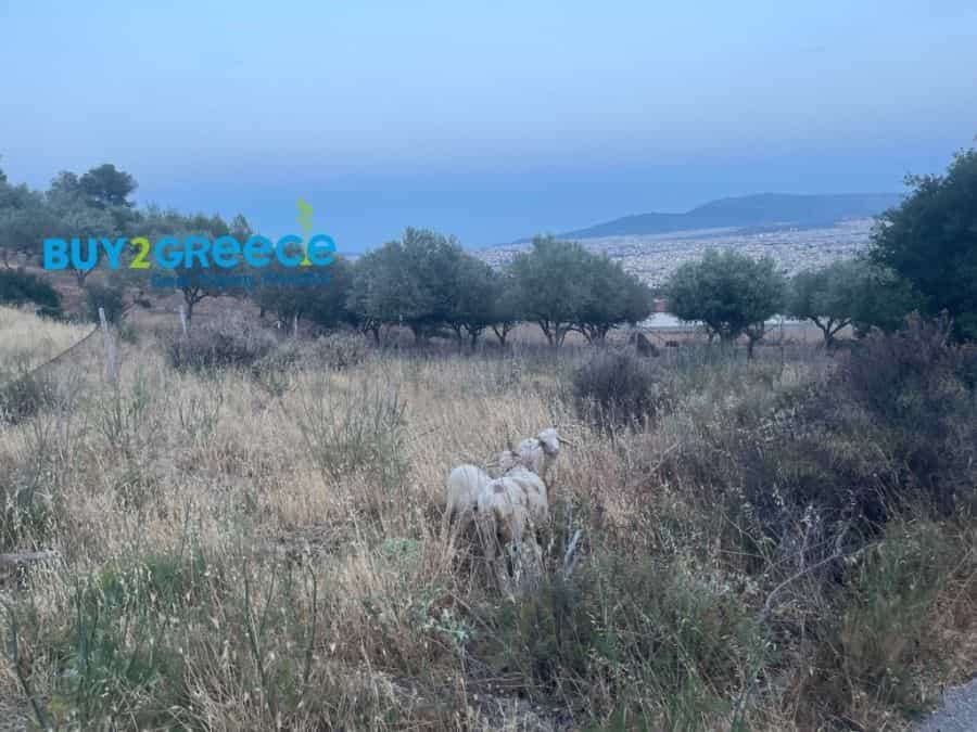 Land in Pellini, Peloponnisos 10853581