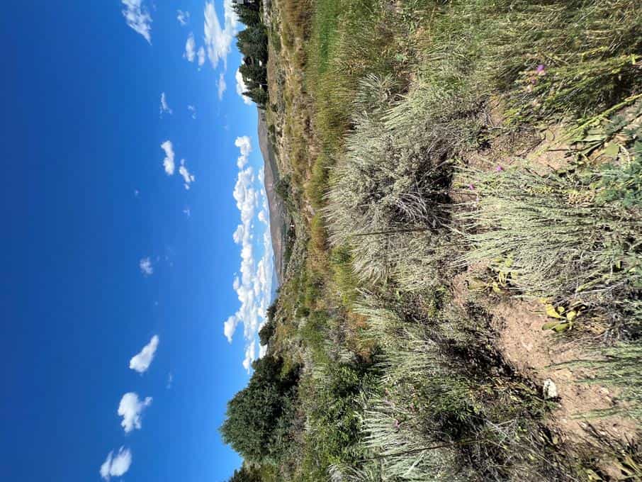 Land in Edwards, Colorado 10854789