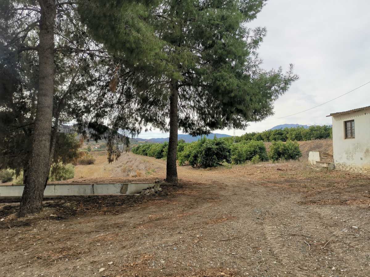 Land in Coín, Andalusia 10855879