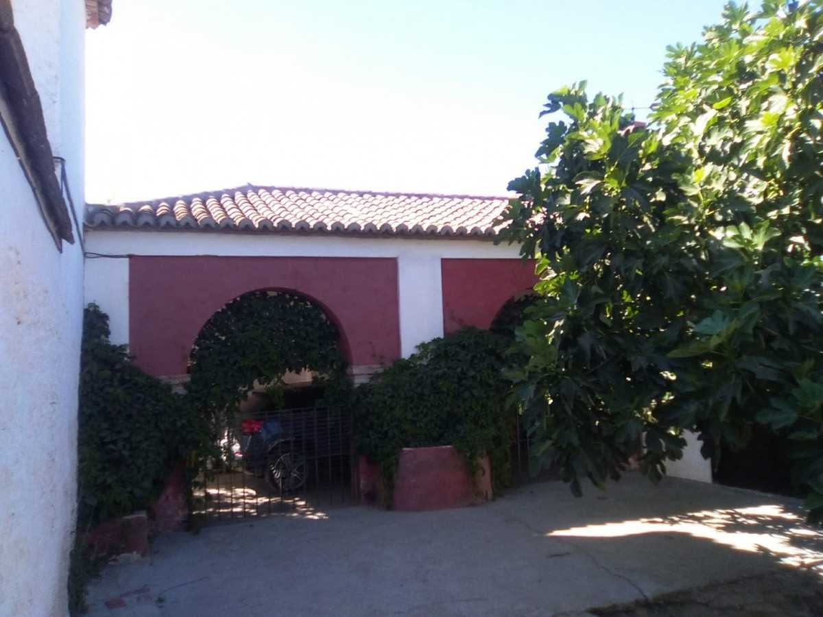 House in Alcaucín, Andalucía 10856777