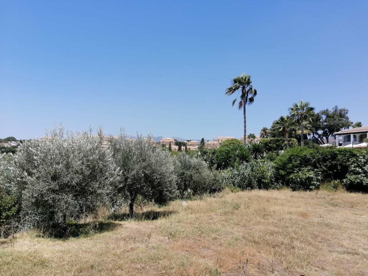 Land in Ojen, Andalusia 10856934