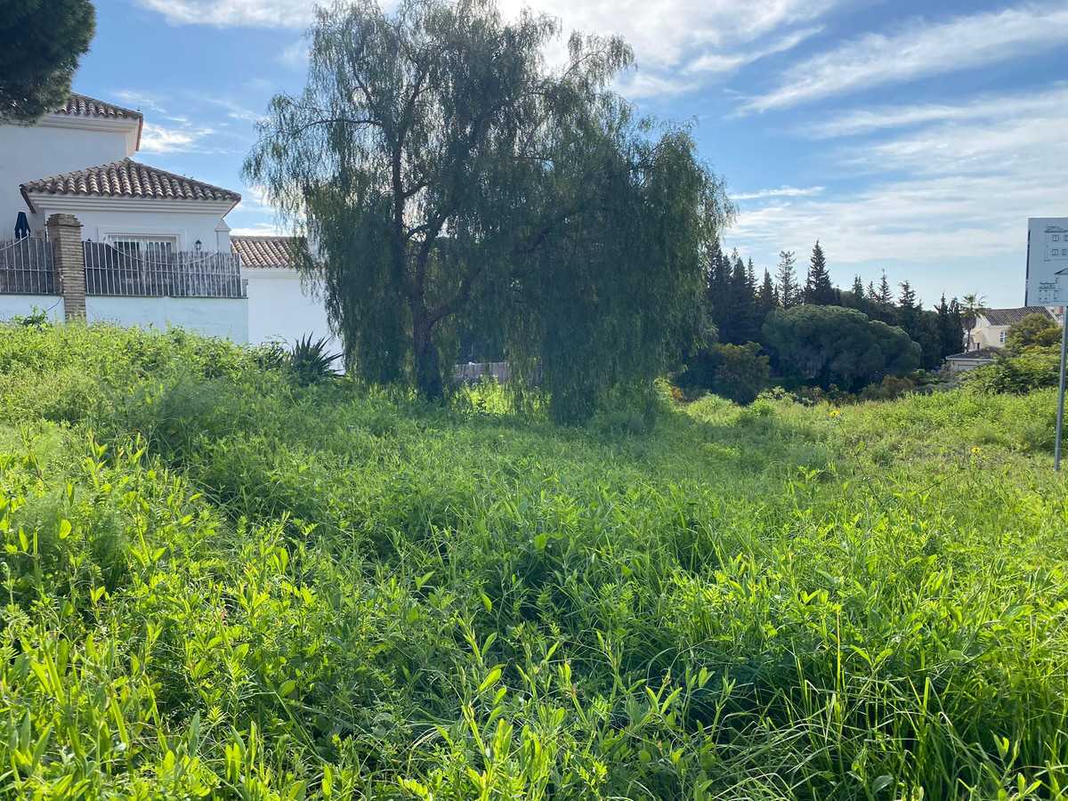 Land in Ojen, Andalusia 10856943