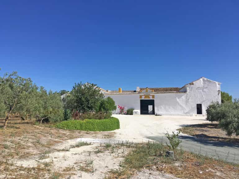 House in Morón de la Frontera, Andalucía 10860636