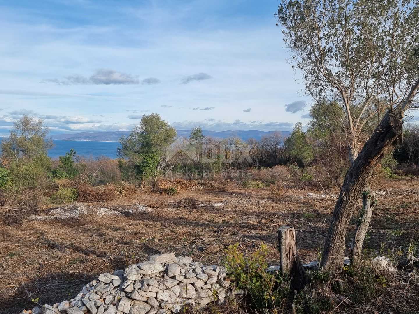Land in Labin, Istarska Zupanija 10865732