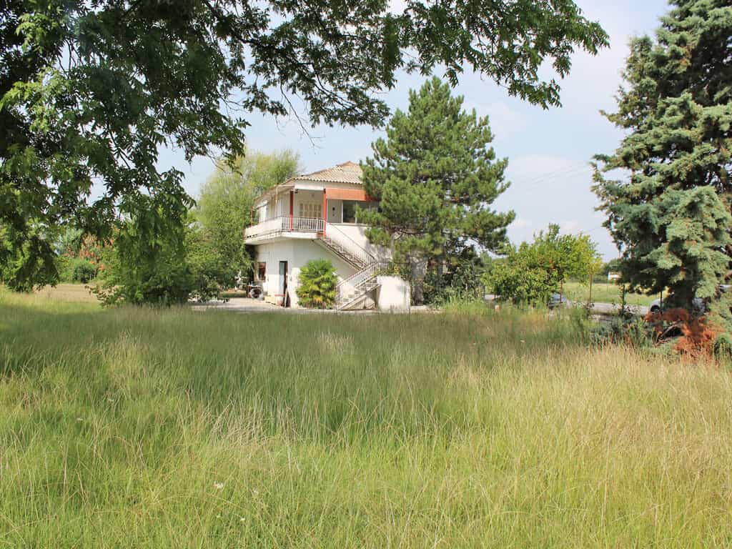 House in Olimpiaki Akti,  10865808