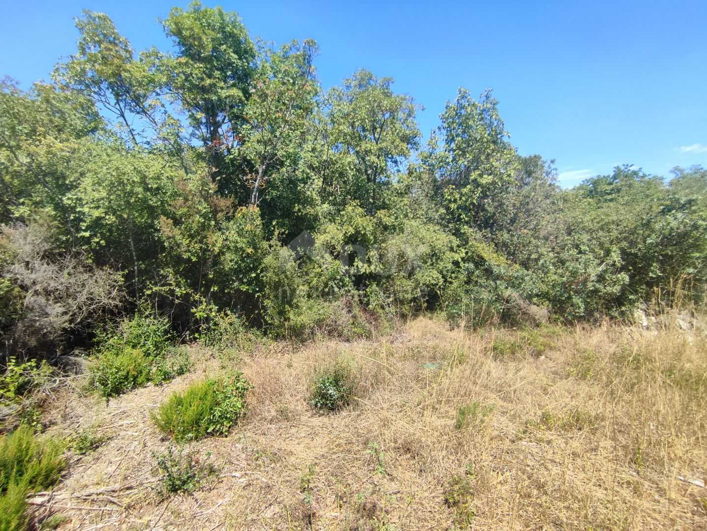 Land in Pomer, Istria County 10867988