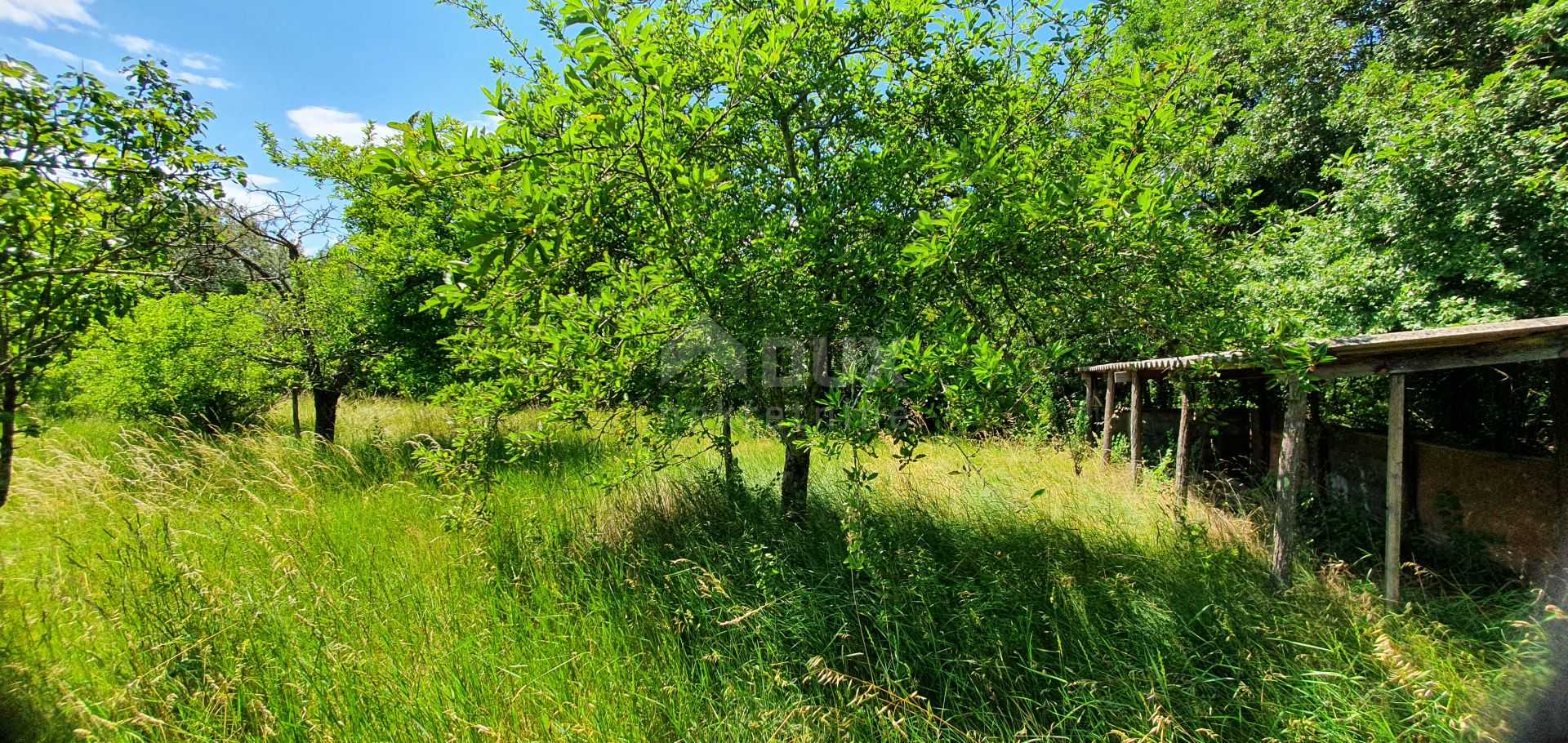 Land in Barban, Istarska Zupanija 10868301