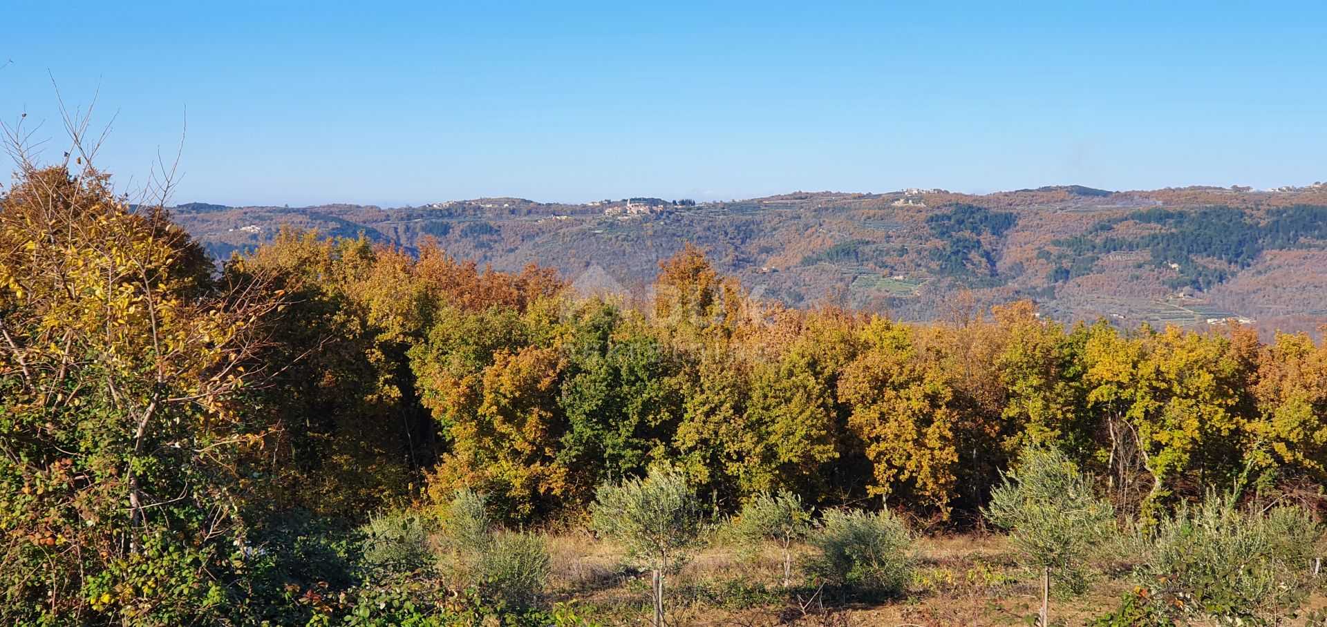 Land in Vižinada, Istria County 10868983