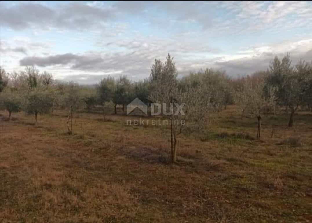 Land in Barban, Istria County 10869012