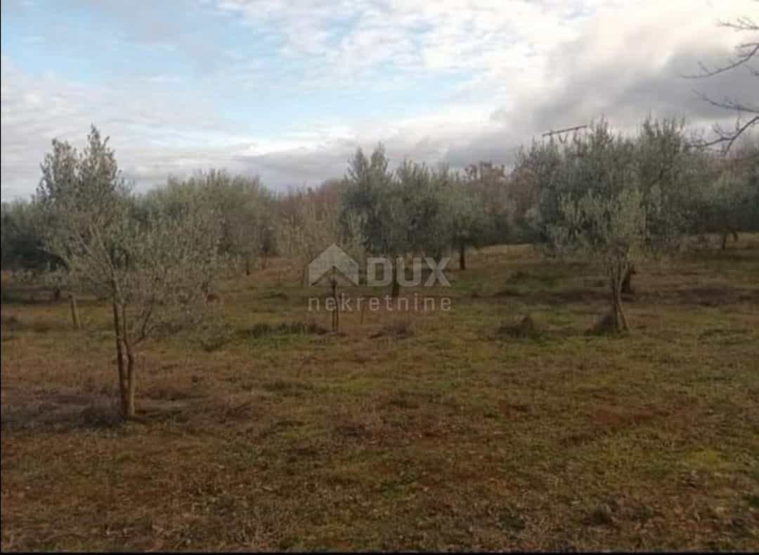 Land in Barban, Istria County 10869012
