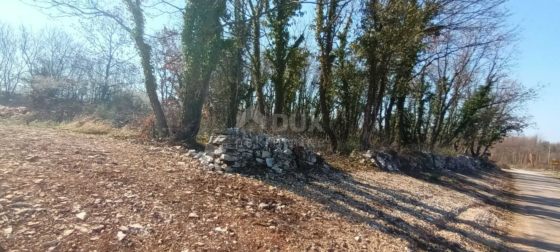 Γη σε Sveti Petar u Sumi, Istarska Zupanija 10869019