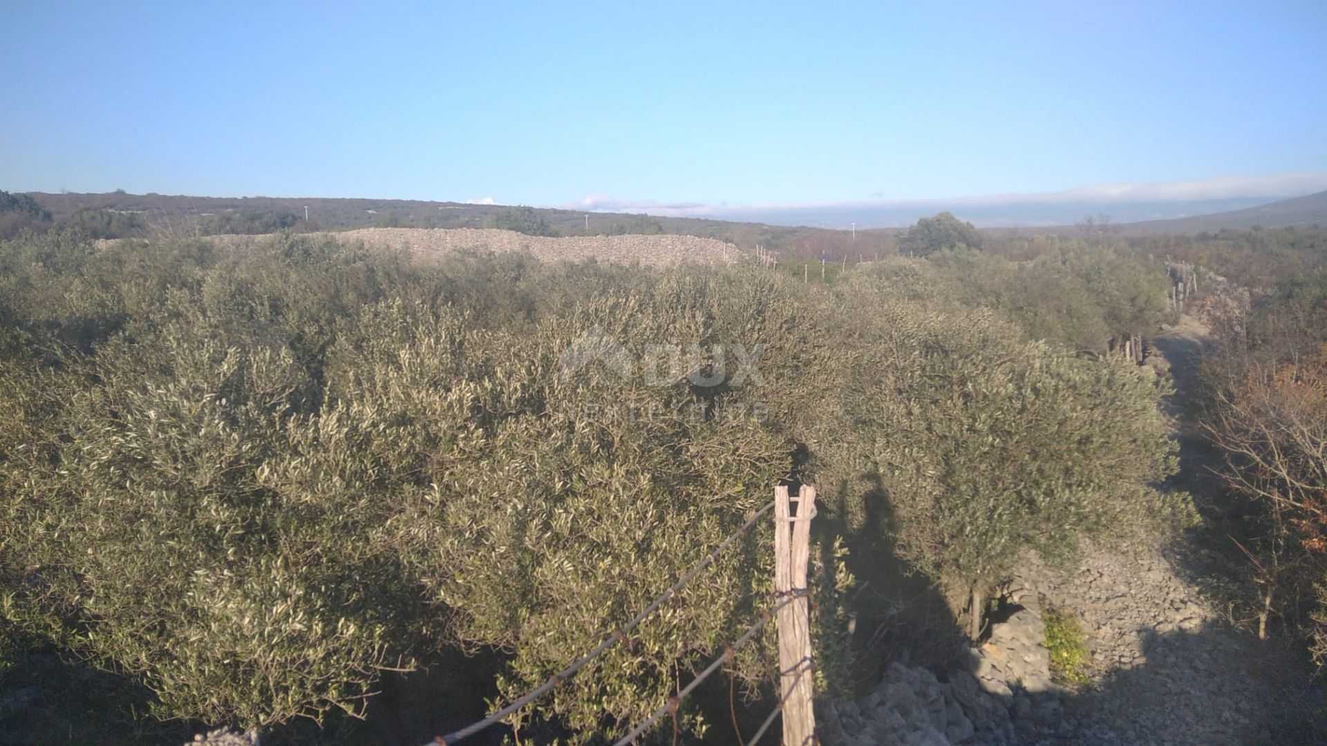 Terre dans Krk, Primorsko-Goranska Zupanija 10869826