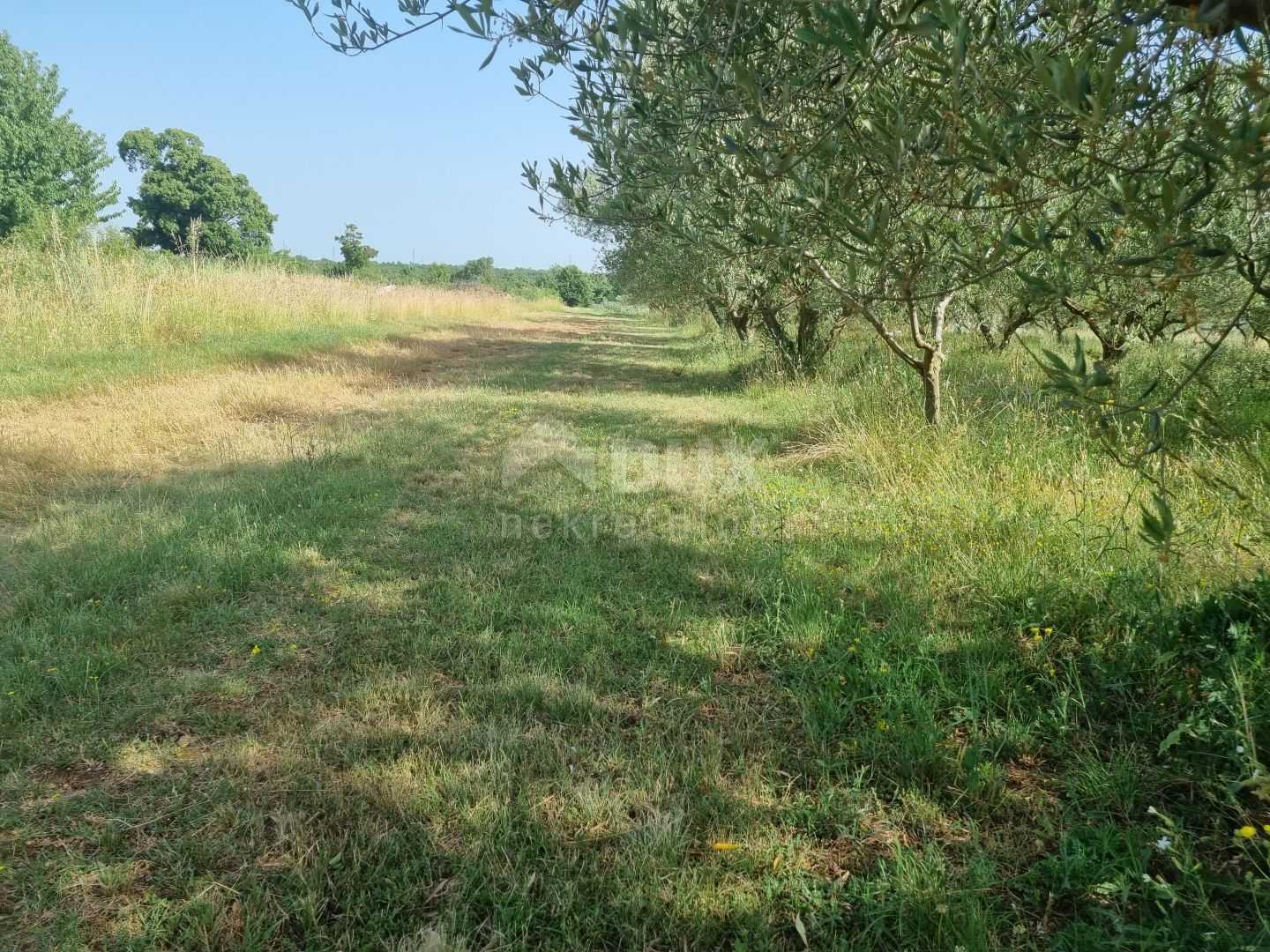 Земля в Svetvinčenat, Istria County 10870447