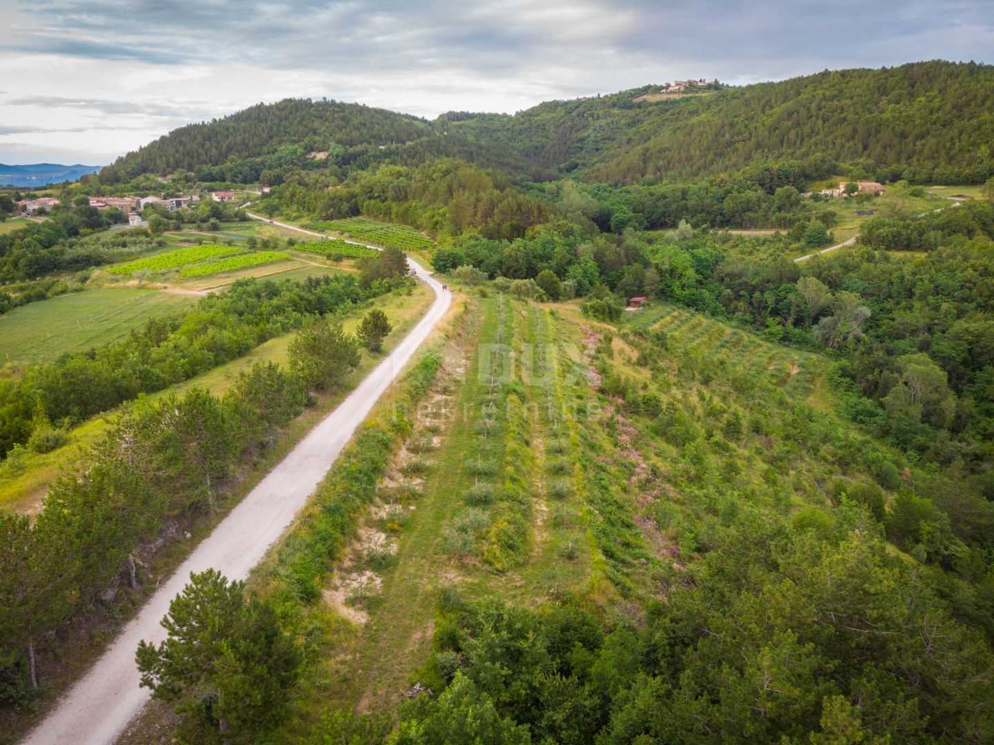 Land in Grimalda, Istria County 10870529