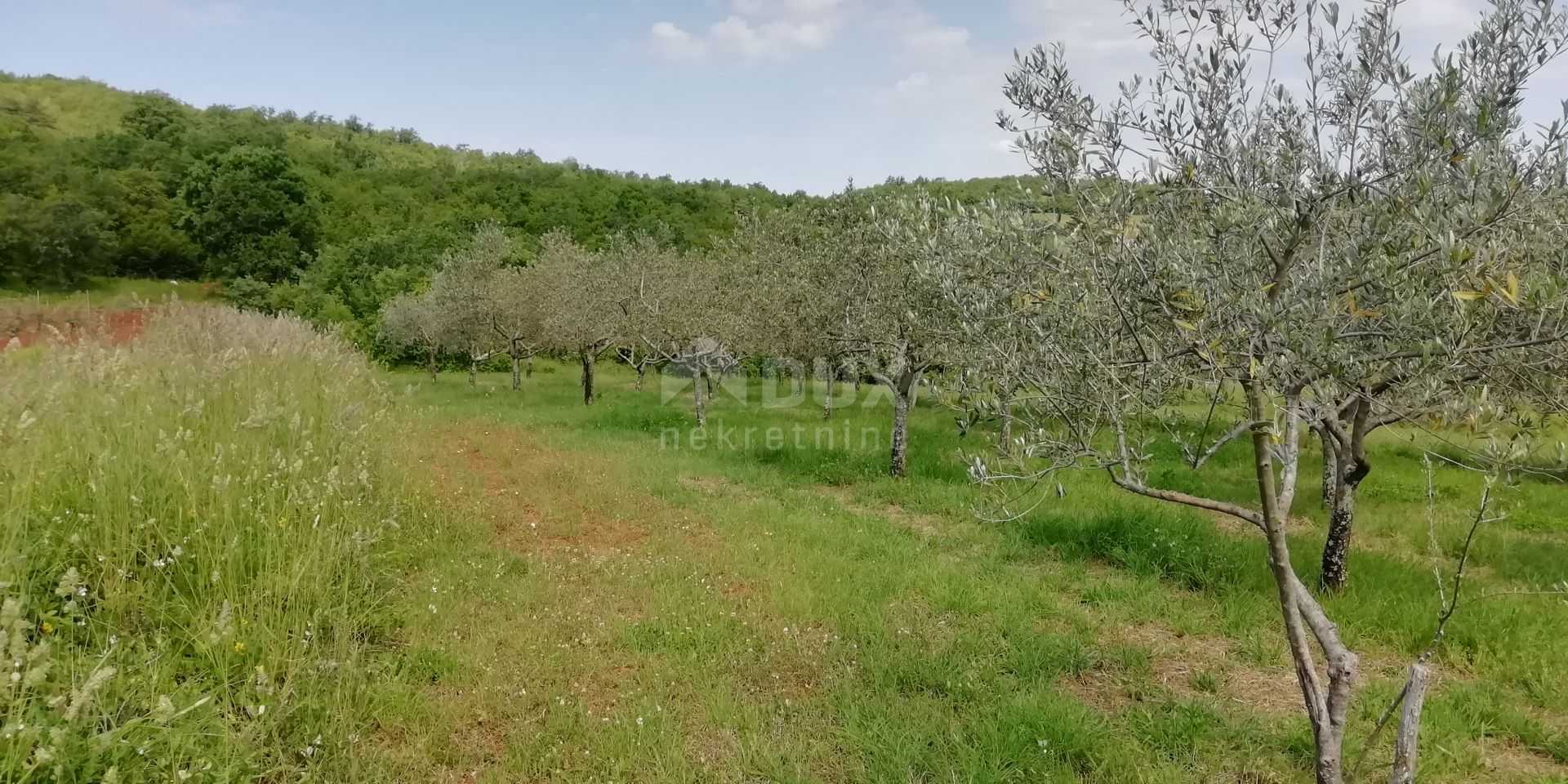 Land in Rakotule, Istria County 10870564