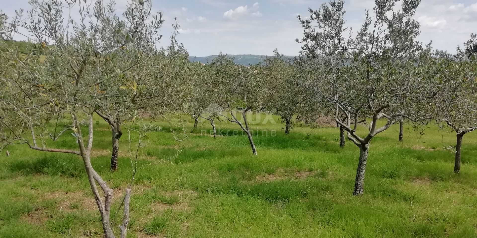 Land in Karojba, Istarska Zupanija 10870564