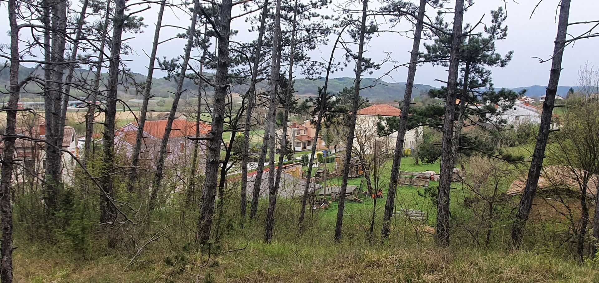 土地 在 Cerovlje, Istarska Zupanija 10870886