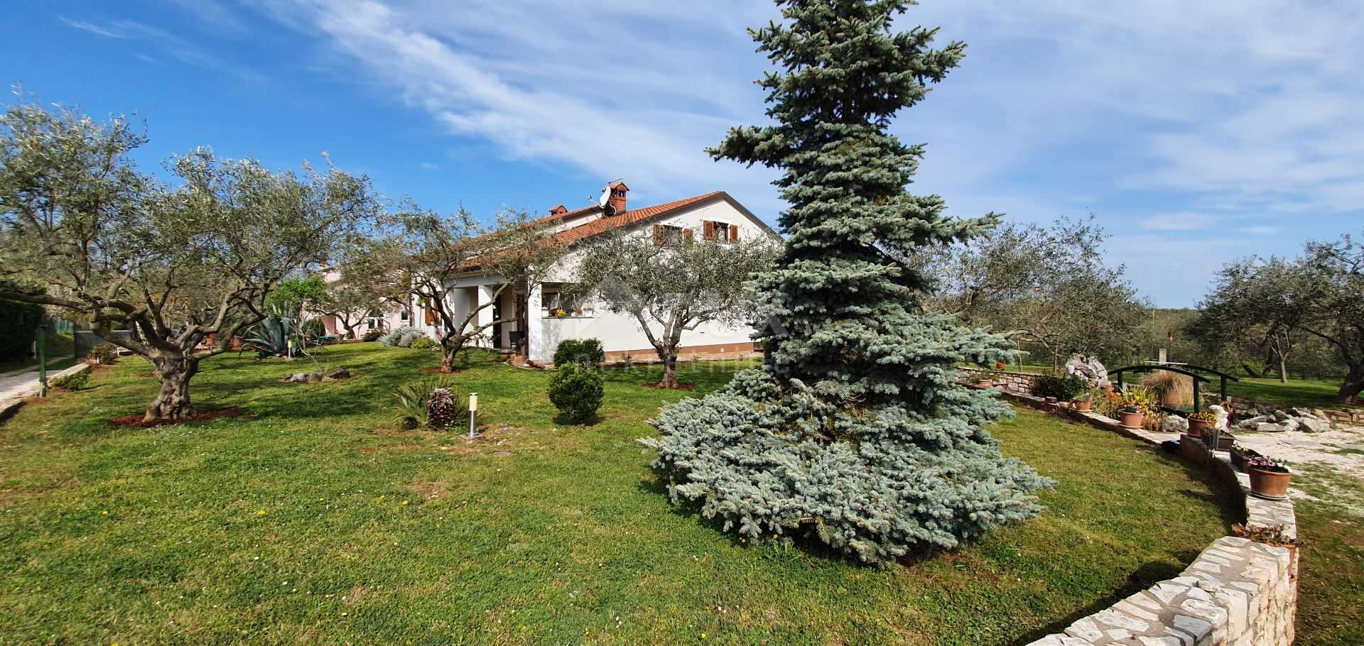 House in Cepljani, Istarska Zupanija 10871180