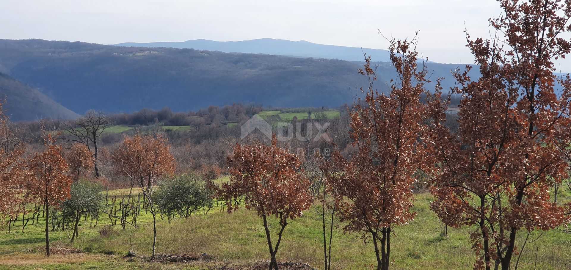 Land in Barban, Istarska Zupanija 10871361