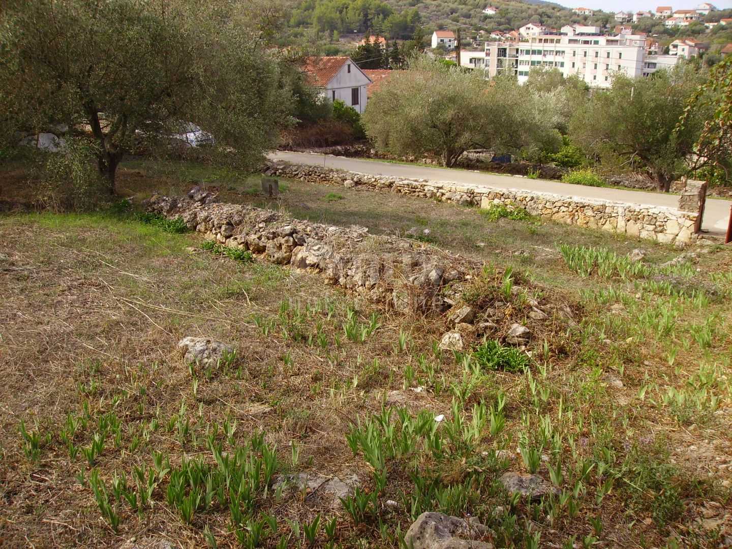 Land in Korčula, Dubrovnik-Neretva County 10871735