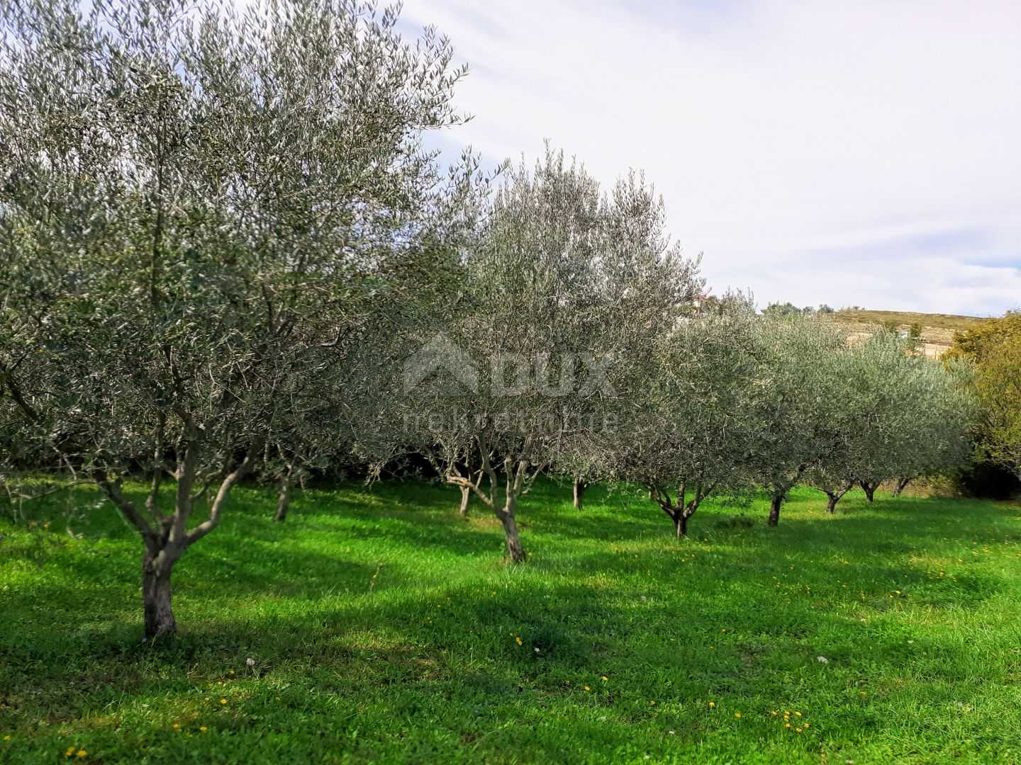 Land in Vižinada, Istria County 10871774