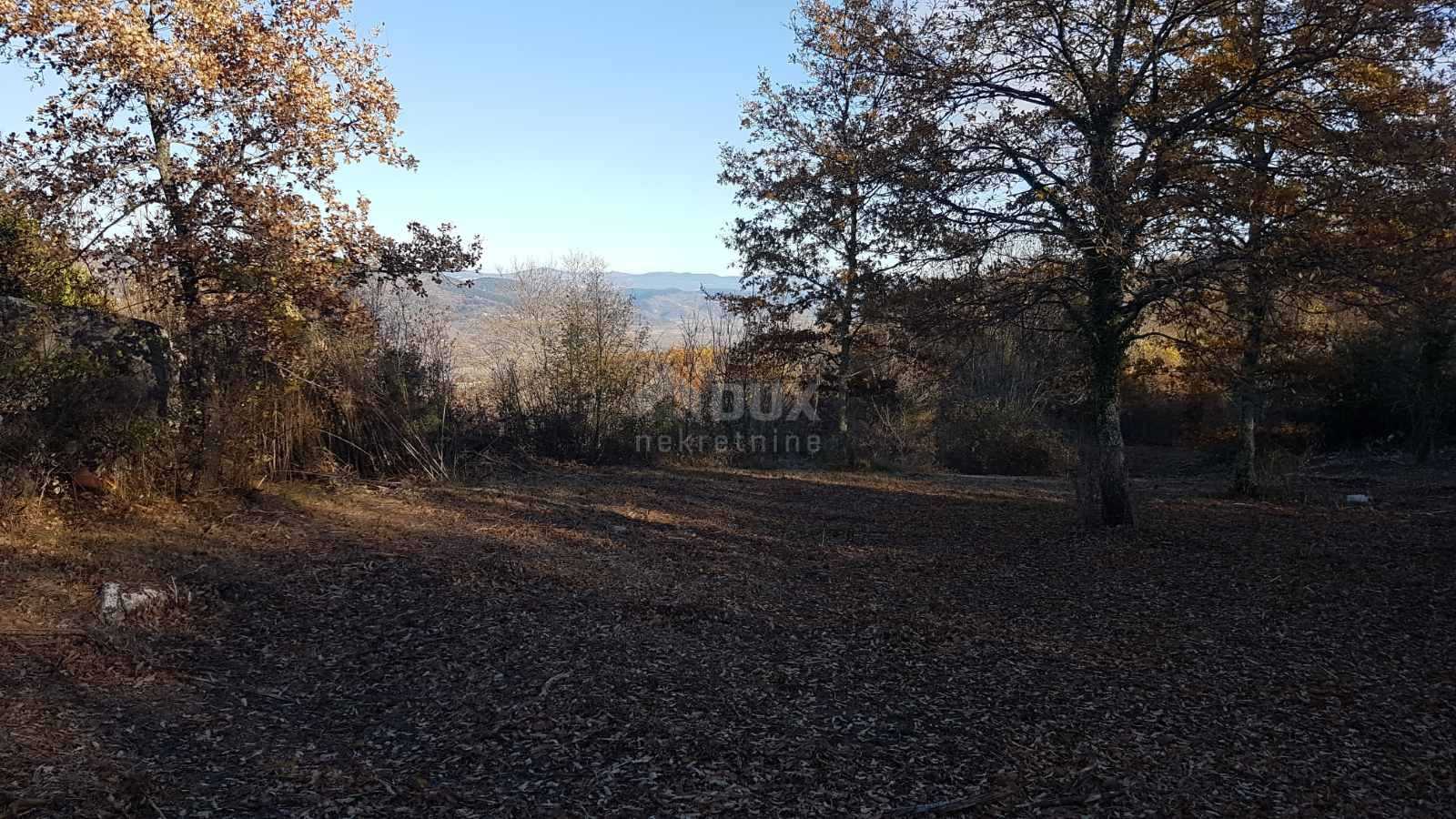 Land in Vižinada, Istria County 10871893