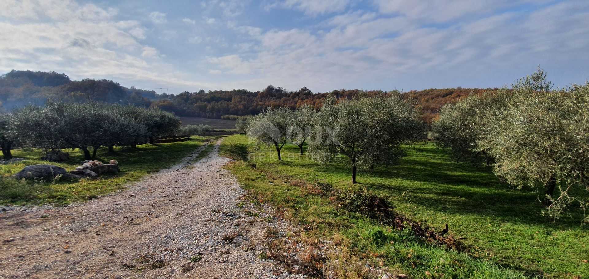 Земельные участки в Vižinada, Istria County 10871893