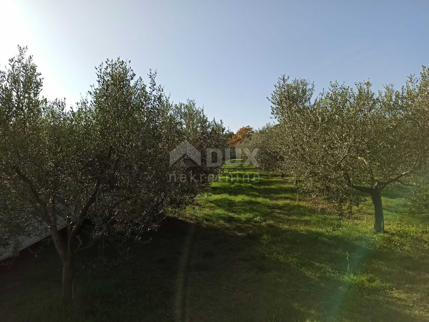 Land in Medulin, Istarska Zupanija 10872063