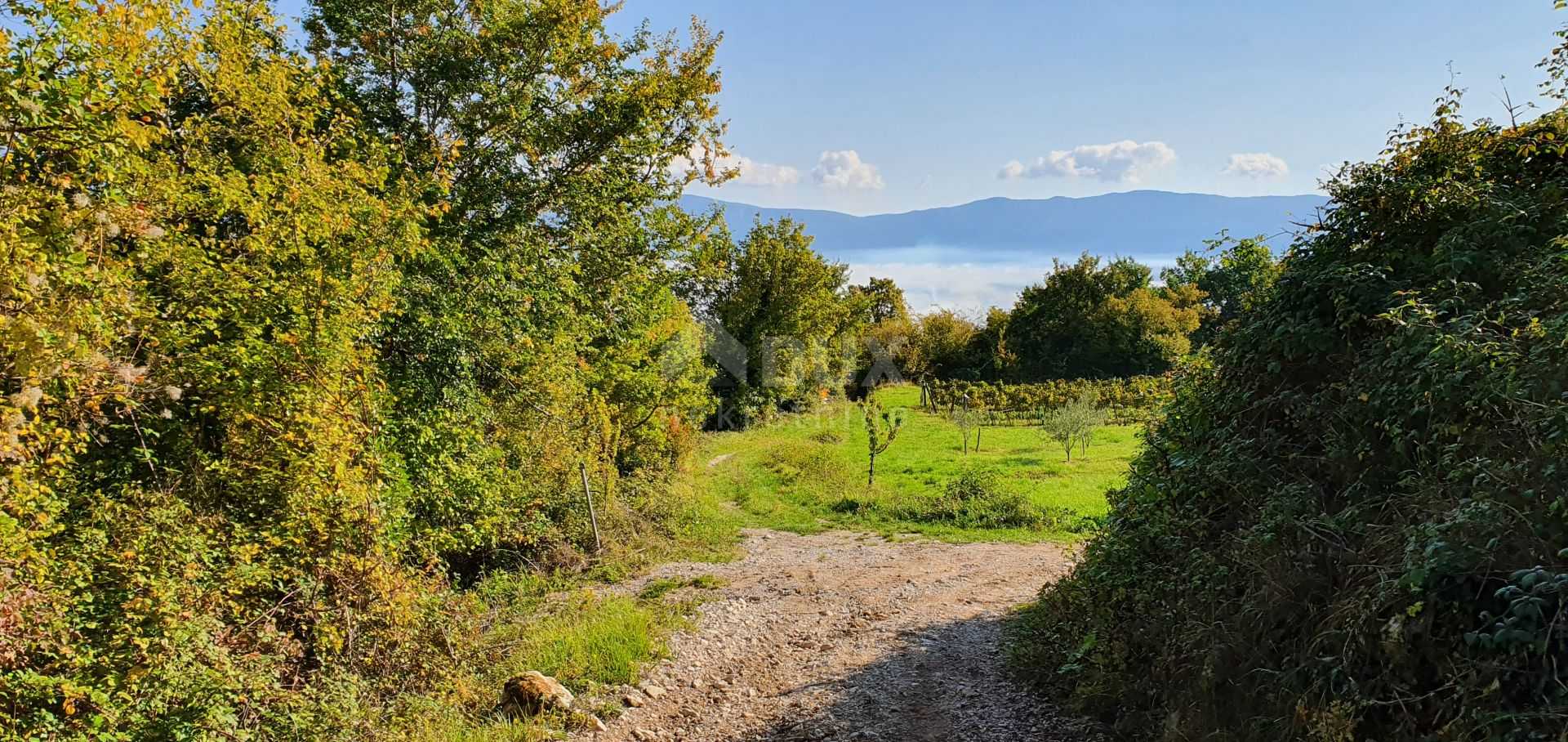 Land in Pićan, Istria County 10872237