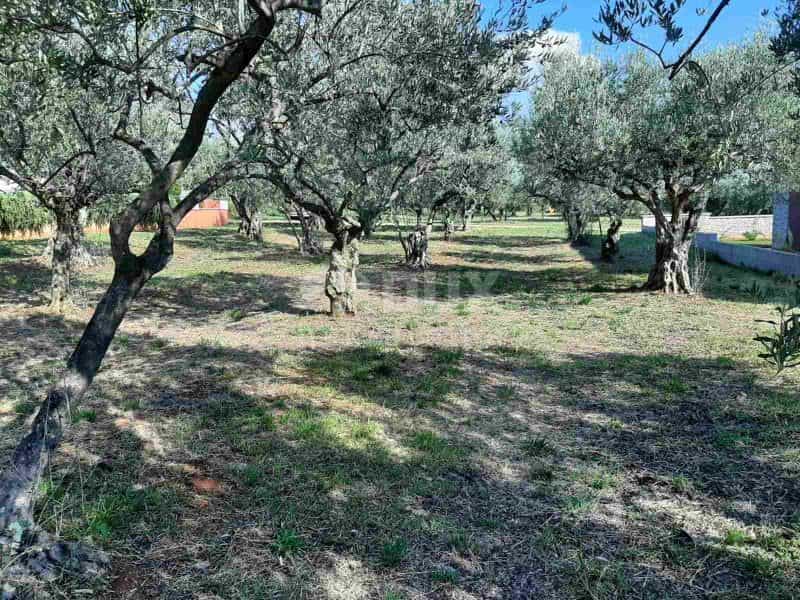 Γη σε Labinci, Istria County 10872501
