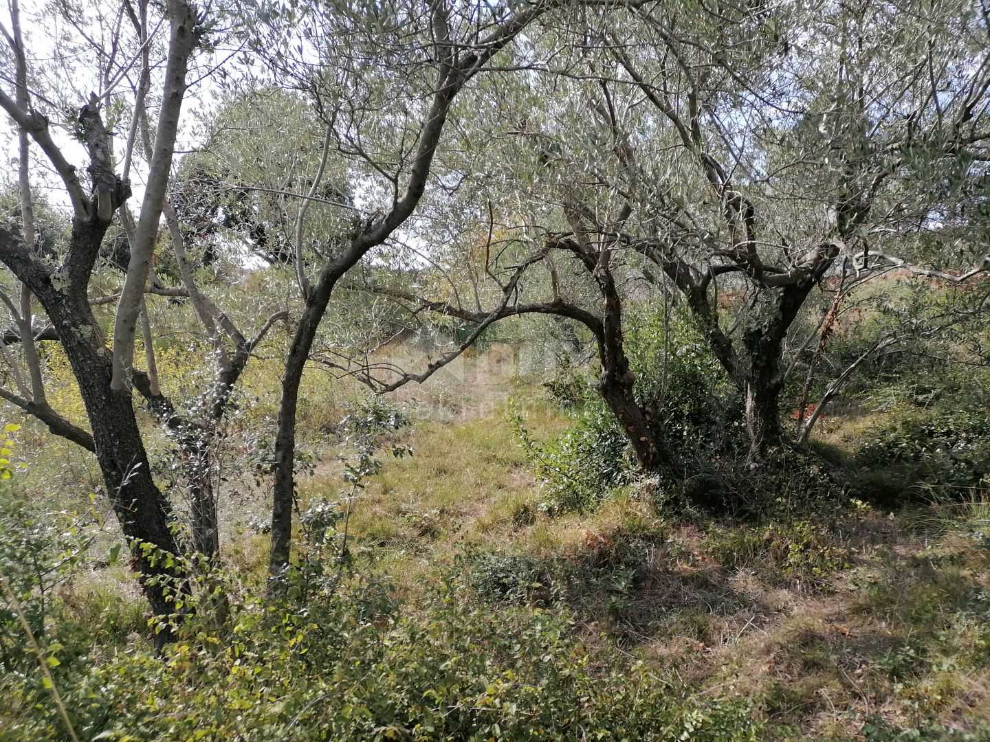 Tanah dalam Banjole, Istria County 10872519