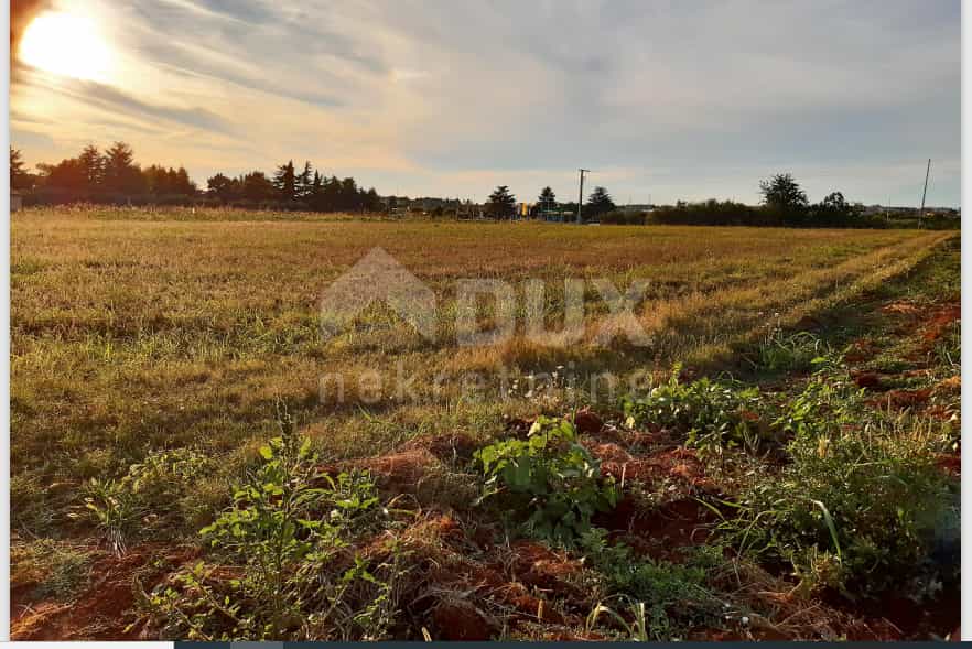 Tanah dalam Novigrad, Istarska Zupanija 10872540