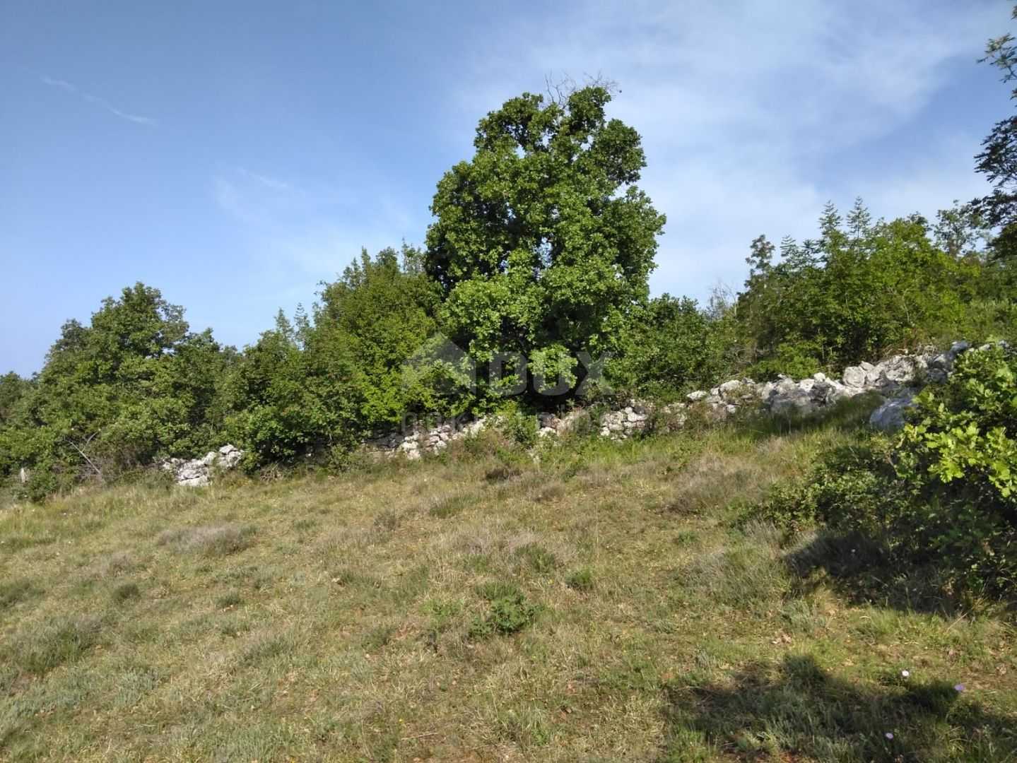 Land in Buzet, Istarska Zupanija 10872730