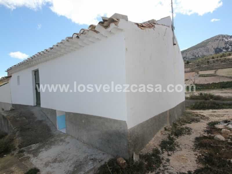 House in Canada de la Cruz, Murcia 10873024