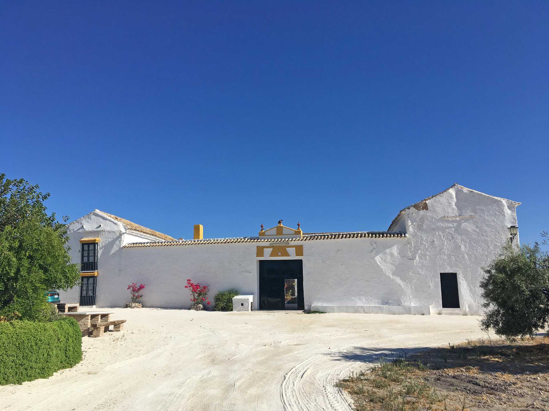 Hus i Moron de la Frontera, Andalusien 10876098